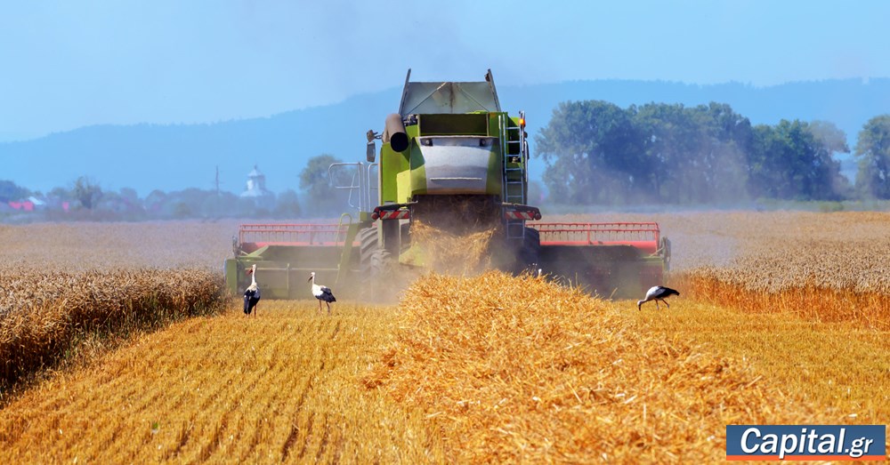 Ετήσιο άλμα 17% στις τιμές των εκροών σε Γεωργία-Κτηνοτροφία τον...