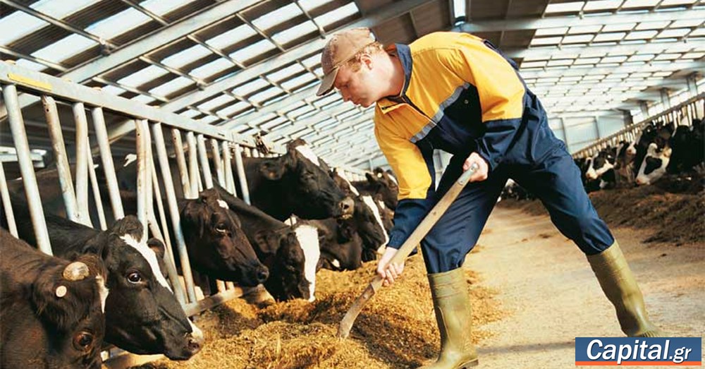 ΥπΑΑΤ: Παρεμβάσεις 2 δισ. για τη στήριξη της κτηνοτροφίας
