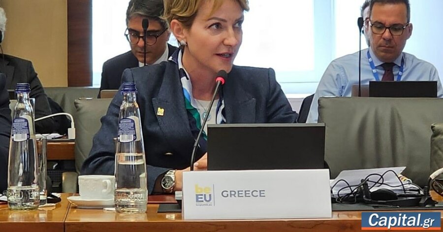 Αλ. Σδούκου: Κοινό ευρωπαϊκό αγαθό τα ηλεκτρικά δίκτυα