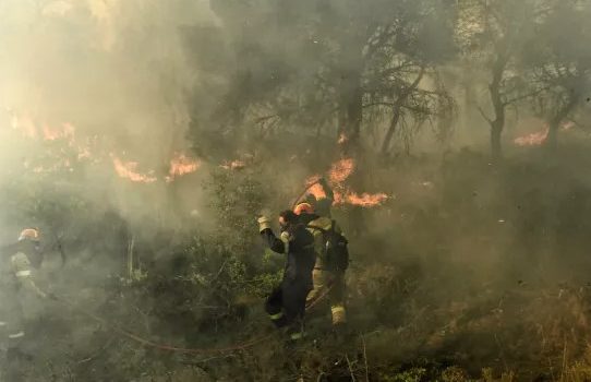 Βοιωτία: Πυρκαγιά σε εξέλιξη στην Αλίαρτο - Δεν απειλούνται κατοικημένες περιοχές