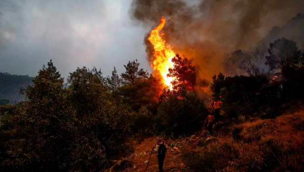Πυροσβεστική: Συναγερμός για πυρκαγιά που ξέσπασε στους Δελφούς - «Σηκώθηκαν» αεροσκάφη
