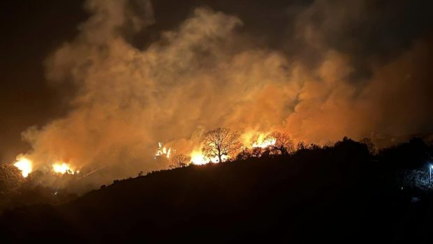 Μεγάλη πυρκαγιά σε δασική περιοχή στη Ρόδο - Επιχειρούν ισχυρές δυνάμεις της Πυροσβεστικής