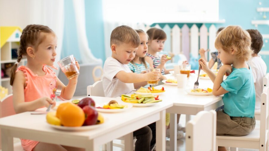 Λαμία: Γονείς καταγγέλλουν μαζική τροφική δηλητηρίαση των παιδιών τους από σχολικά γεύματα σε δημοτικά σχολεία