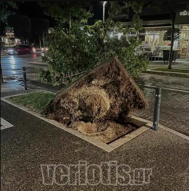 Βέροια: Σφοδρό μπουρίνι «ξήλωσε» δέντρα και κολώνες ρεύματος - Στο σκοτάδι πολλές περιοχές