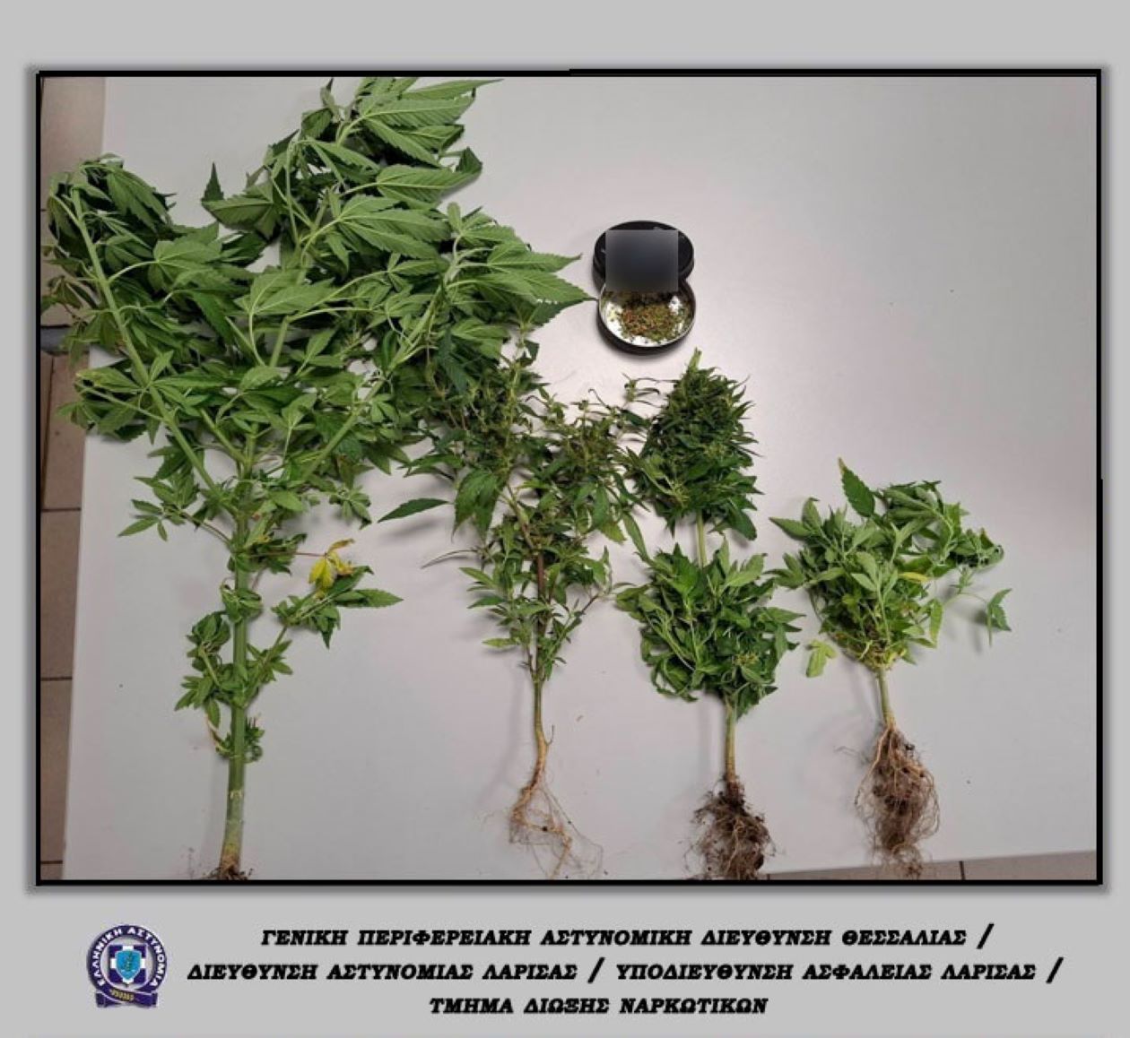 ΦΩΤΟ 1