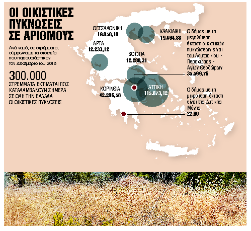 Αυθαίρετα: Βόμβες έτοιμες να εκραγούν στα δάση - Οικονομικός Ταχυδρόμος