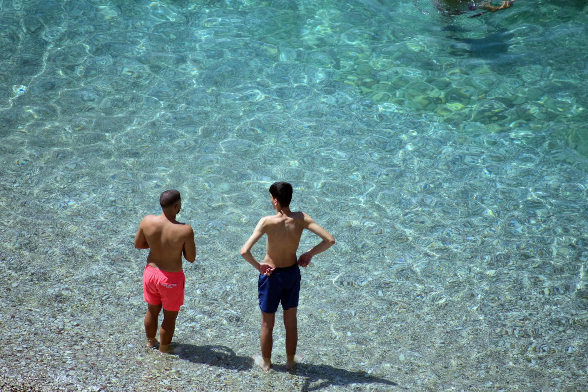 Thessaly Evros Pass 2004: Πάνω από 89.000 αιτήσεις στην πλατφόρμα την πρώτη μέρα