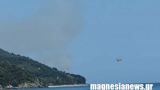 Πήλιο: Φωτιά σε αγροτοδασική έκταση στο Πουρί - Επιχειρούν εναέριες δυνάμεις