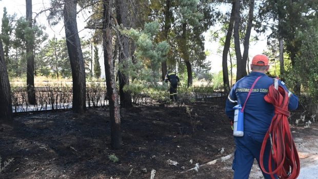 Βασίλης Κικίλιας: Από κεραυνούς μία στις τέσσερις φωτιές σήμερα