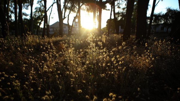 Καιρός: Άνοδος της θερμοκρασίας σήμερα - Πού θα βρέξει