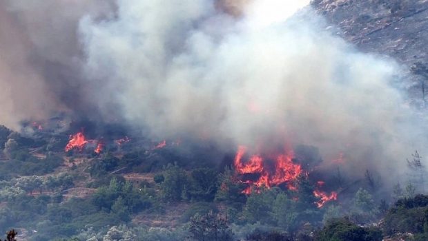 Φωτιά στον Όλυμπο σε χαράδρα - Επιχειρεί και ελικόπτερο