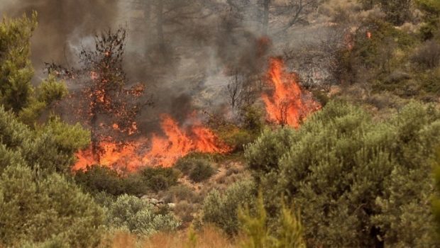 Ηλεία: Δύο φωτιές σε Αγίους Αποστόλους και Σμέρνα από κεραυνούς