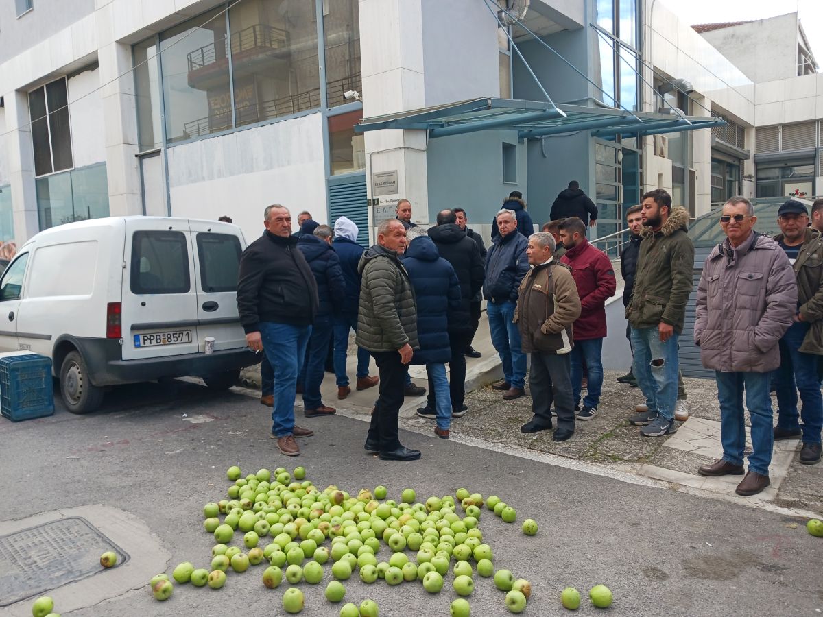 agrotes agias elga1