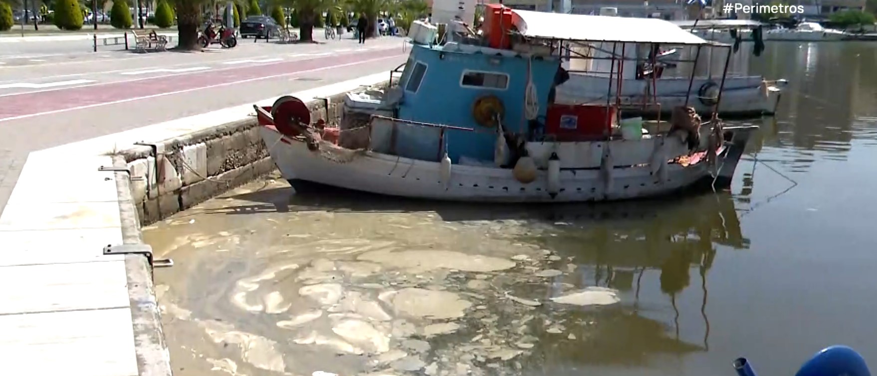 Volos disosmia