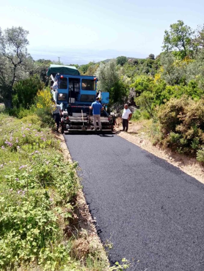 Μυριοβρύτη 01