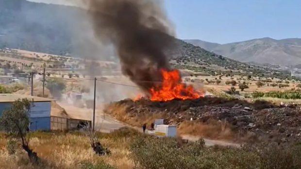 Δύο συλλήψεις για τις φωτιές σε Μαρκόπουλο και Ριτσώνα