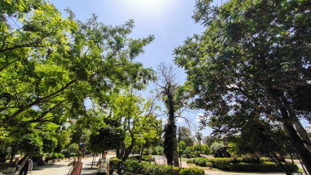 Καιρός: Κοκτέιλ ζέστης και αφρικανικής σκόνης - Έως τους 31 βαθμούς η θερμοκρασία