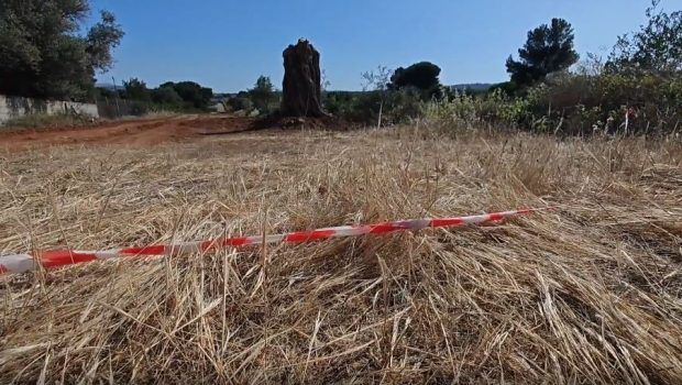 Ραφήνα: Δύο νέες προσαγωγές για την δολοφονία του 41χρονου - Πώς εντοπίστηκε ο 46χρονος που συνελήφθη το πρωί