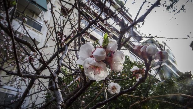 Καιρός: Άνοδος της θερμοκρασίας και βροχές στα ηπειρωτικά - Πού και πότε θα εκδηλωθούν καταιγίδες