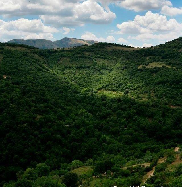 rapsani-olimbos