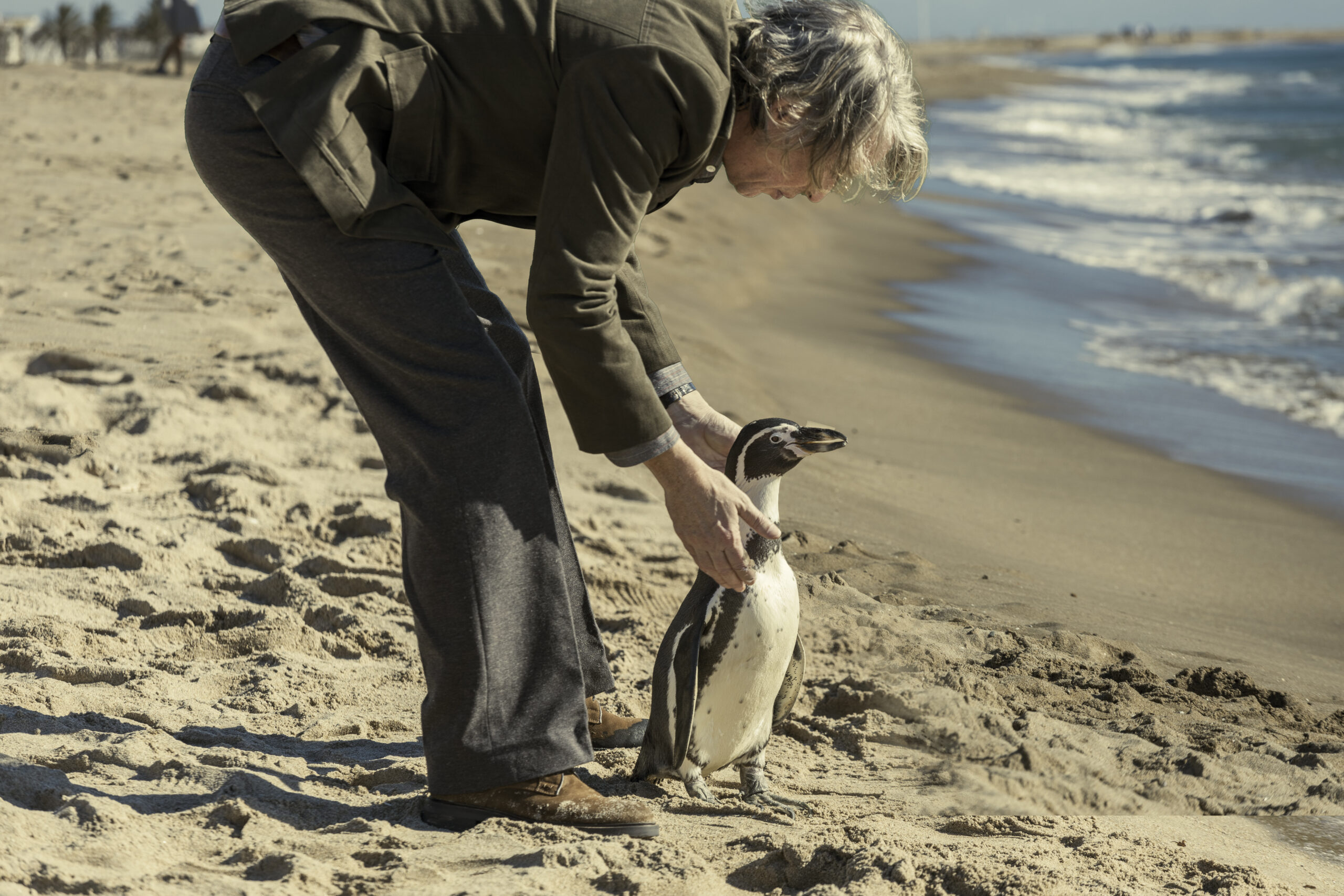 penguin