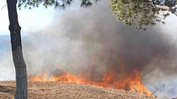 Συνελήφθη 73χρονος για εμπρησμό στη Βοιωτία – Έβαλε φωτιά σε δύο διαφορετικά σημεία