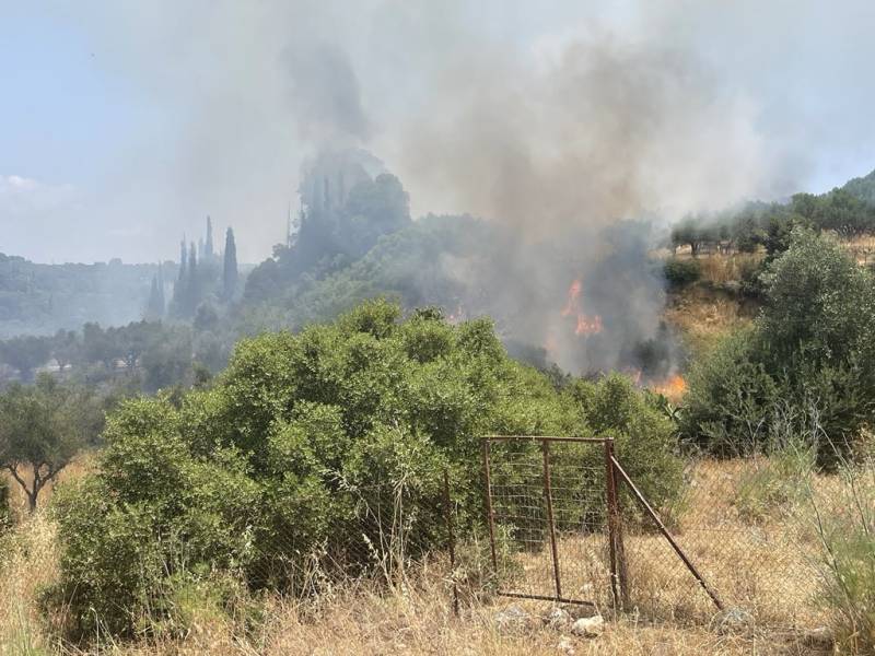 Μεσσηνία: Υπό πλήρη έλεγχο η φωτιά στο Χαροκοπιό