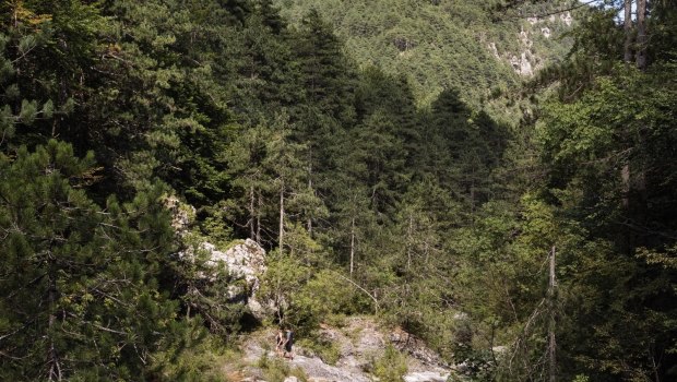Σκοτώθηκε 60χρονη Γερμανίδα κατά τη διάρκεια ανάβασης στον Όλυμπο