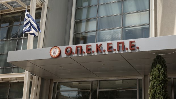 Δίκη ΟΠΕΚΕΠΕ: Τι είπαν στις απολογίες τους οι κατηγορούμενοι - «Είδα το χωράφι στο Google Maps»