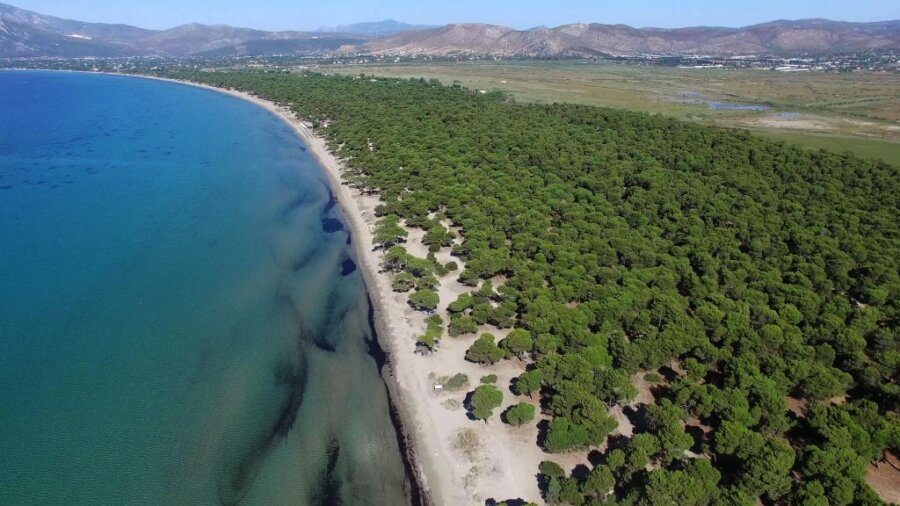 Εθνικό Πάρκο Σχινιά: Έχτισε παράνομα 13 πολυτελή μπανγκαλόου και τα ενοικιάζει 300 ευρώ την ημέρα