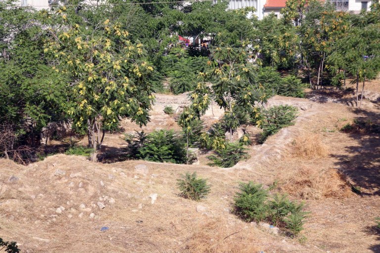 Πάνω από 700.000 οι δηλώσεις για καθαρισμό οικοπέδων εν όψει αντιπυρικής περιόδου