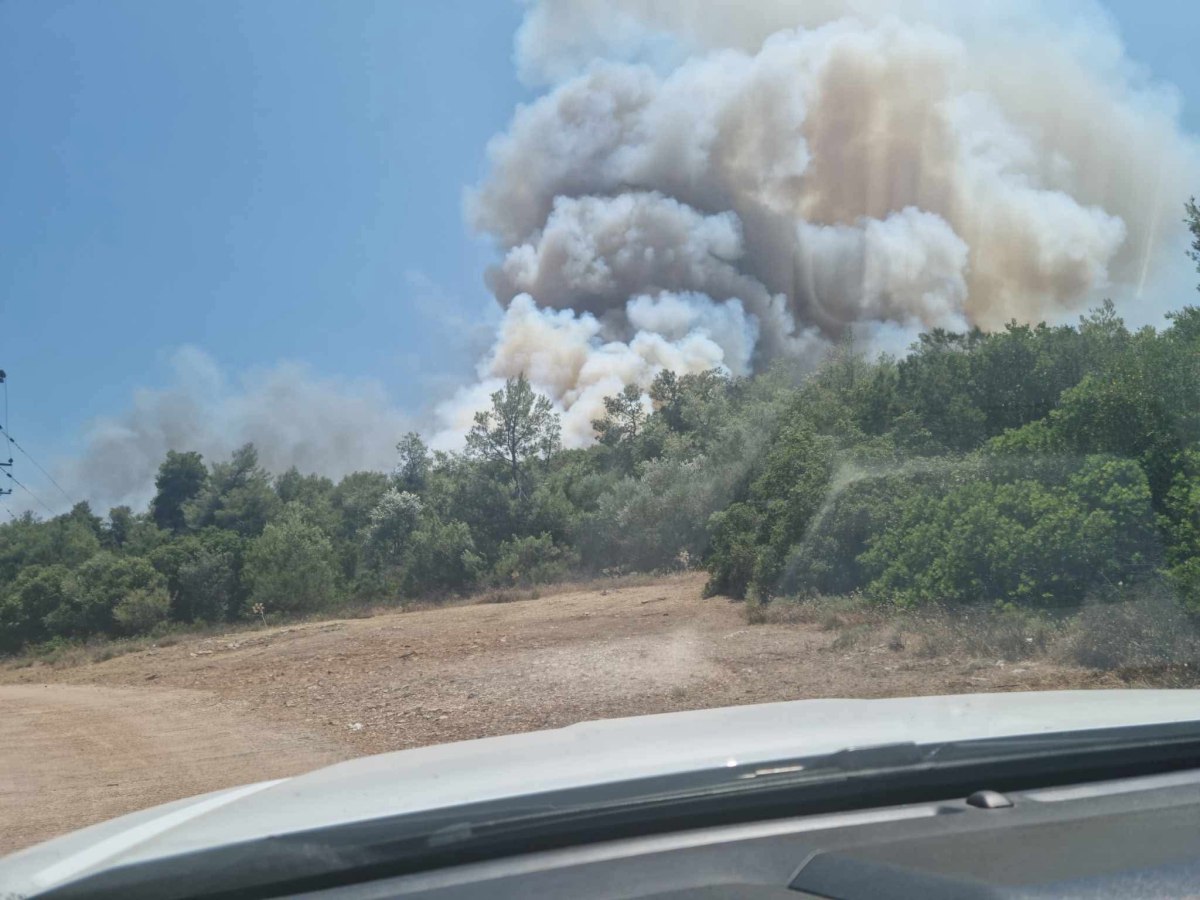 Σε ύφεση η φωτιά στο Άνω Σούλι Μαραθώνα - Παραμένουν Ισχυρές πυροσβεστικές δυνάμεις στην περιοχή