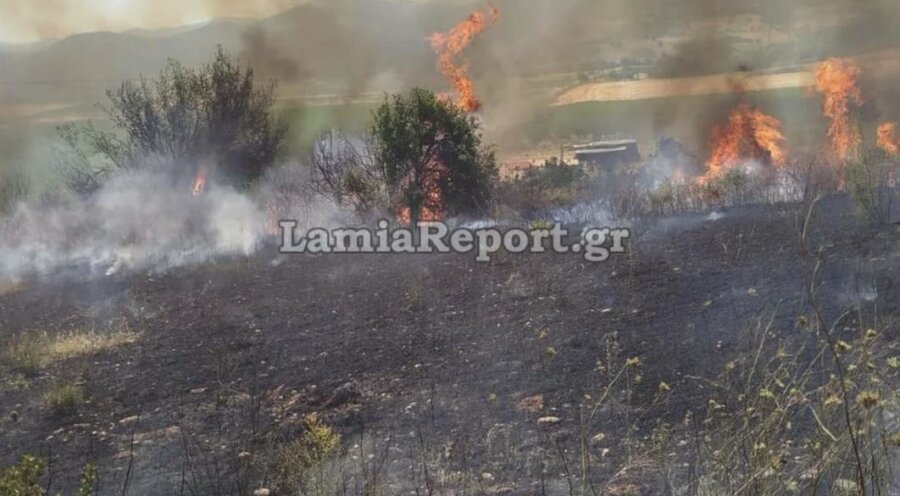 Δομοκός: Συναγερμός για φωτιά - Και εναέρια μέσα στη μάχη της κατάσβεσης