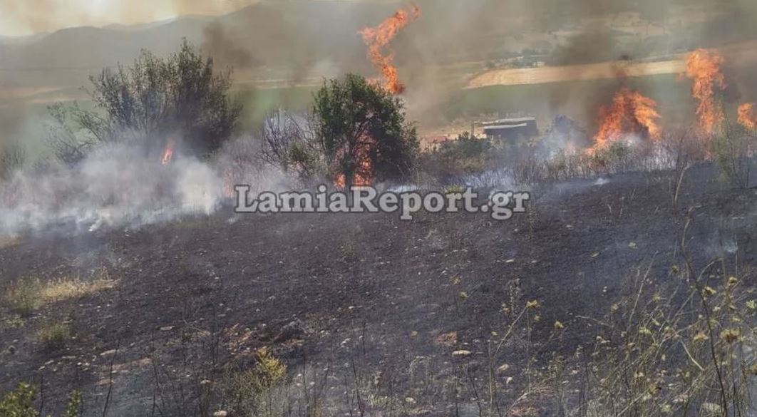 Δομοκός: Συναγερμός για φωτιά - Και εναέρια μέσα στη μάχη της κατάσβεσης