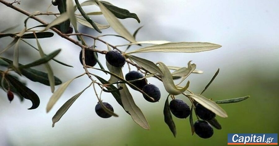 "Αναγκαίο βήμα που υπηρετεί το...