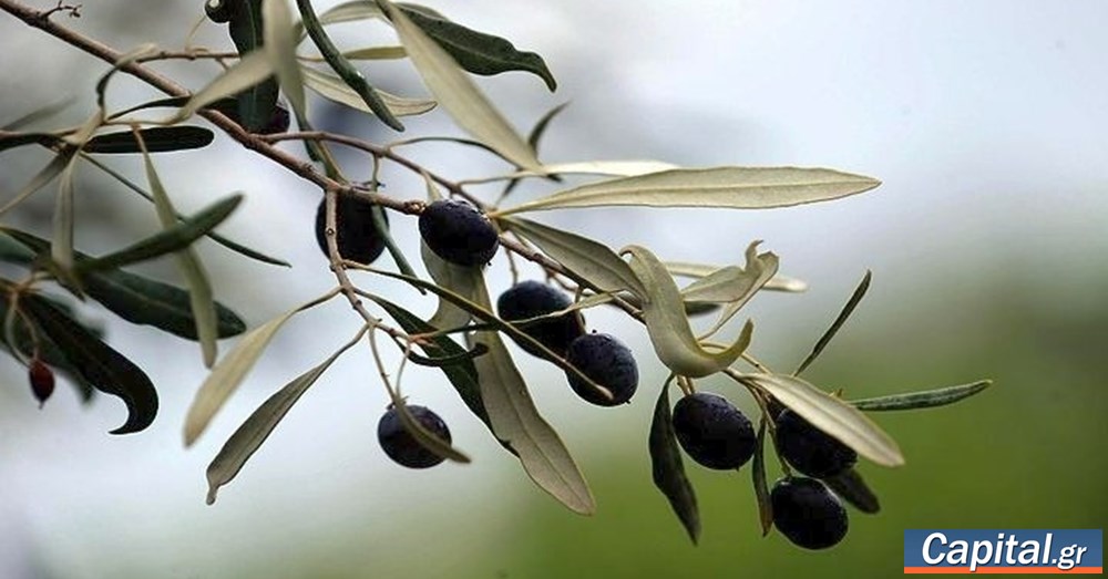"Αναγκαίο βήμα που υπηρετεί το...