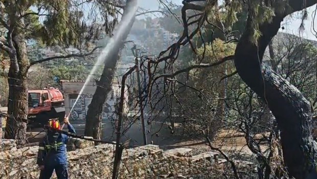 Πυροσβεστική: 50 πυρκαγιές το τελευταίο 24ωρο - Ενισχύονται οι δυνάμεις για τη φωτιά στη Νάξο