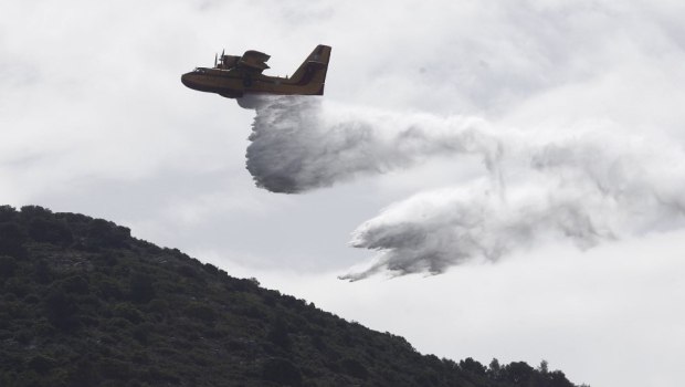 Αλεξανδρούπολη: Φωτιά καίει γεωργικές εκτάσεις - Σηκώθηκαν και εναέρια μέσα