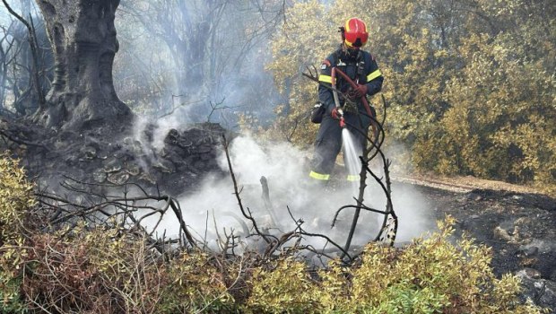 Υπό έλεγχο η φωτιά στο Πυργί Λέσβου - 55 αγροτοδασικές πυρκαγιές το τελευταίο 24ωρο