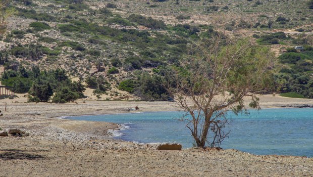Γαύδος: Τουρίστες βρήκαν σε παραλία πτώμα σε προχωρημένη σήψη