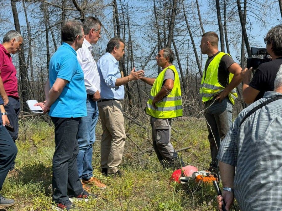 ΥΠΕΝ: Η προστασία των δασών δεν πρέπει να γίνεται πεδίο μικροπολιτικής εκμετάλλευσης
