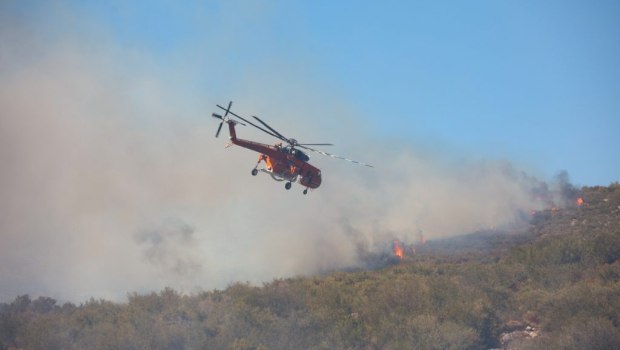 Φωκίδα: Φωτια τώρα στην περιοχή Πεντεόρια