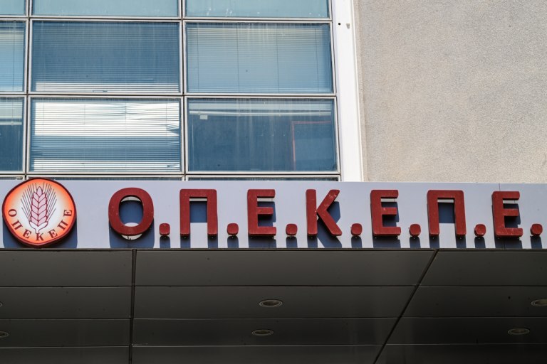 Τσουκαλάς: Σκάνδαλο στον ΟΠΕΚΕΠΕ με οργάνωση, εγκέφαλο σε βάρος του λαού - Αυτός ο διασυρμός δεν τιμά τη χώρα