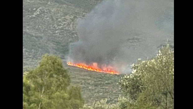 Φωτιά τώρα στην Σπάρτη - Επιχειρούν εναέρια μέσα