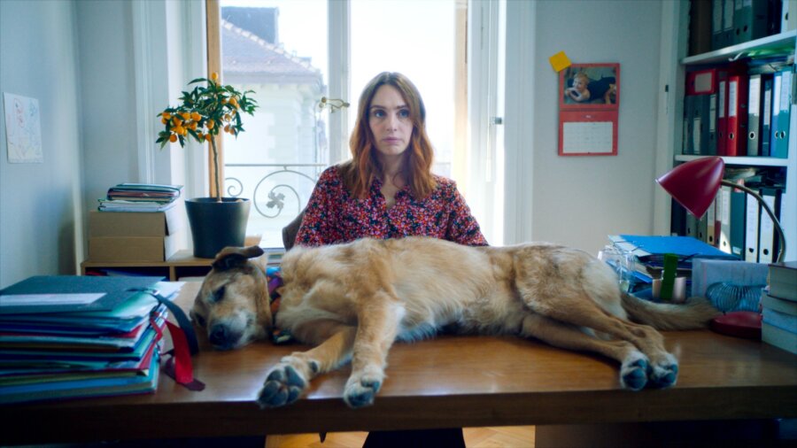 le-proces-du-chien-photo1-c-bande-a-partfilms-atelier-de-production-rts-radio-television-suisse-srg-ssr-france2cinema-2024