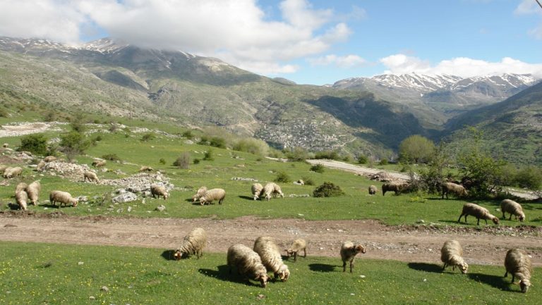 provata-voskotopia-768x433