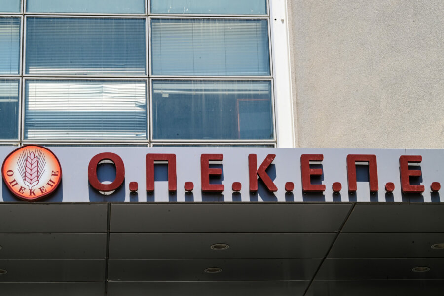 [378845] ΟΠΕΚΕΠΕ    (ΤΑΤΙΑΝΑ ΜΠΟΛΑΡΗ/EUROKINISSI)