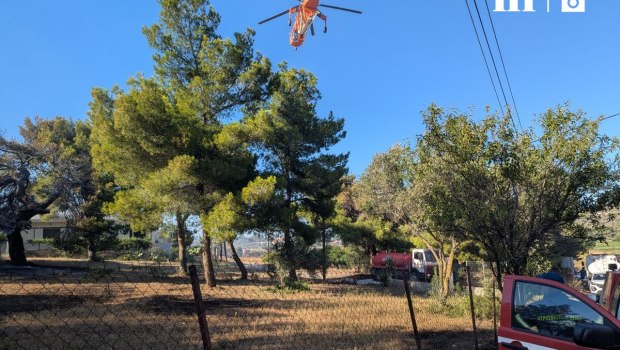 Φωτιά: Δεκάδες απεγκλωβισμοί και εκατοντάδες απομακρύνσεις από τα πύρινα μέτωπα - «Δυσκολότερες οι επόμενες ημέρες»
