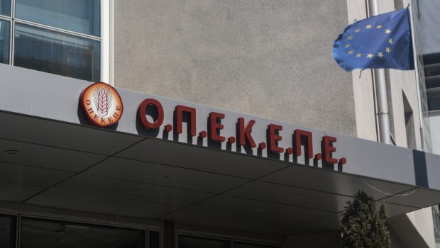«Φύλλο και φτερό» τα ψηφιακά αρχεία - Στόχος η κατάσχεση κρίσιμου ψηφιακού υλικού