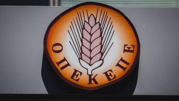 ΟΠΕΚΕΠΕ: Στην ανακύκλωση κούτες με έγγραφα από την αποθήκη του Οργανισμού στη Θεσσαλονίκη